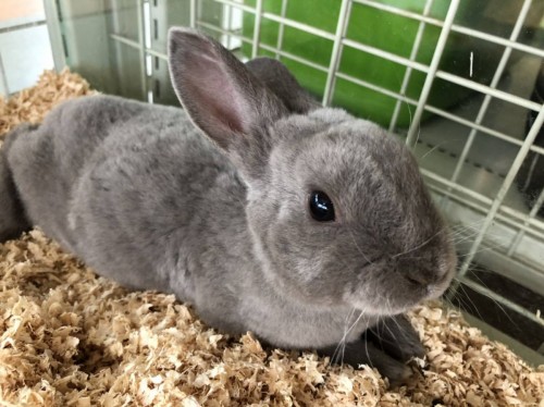 写真 2019-07-14 15 47 50