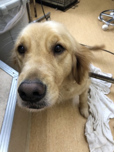 写真 2019-07-17 12 28 41