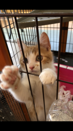 写真 2019-08-13 11 04 51