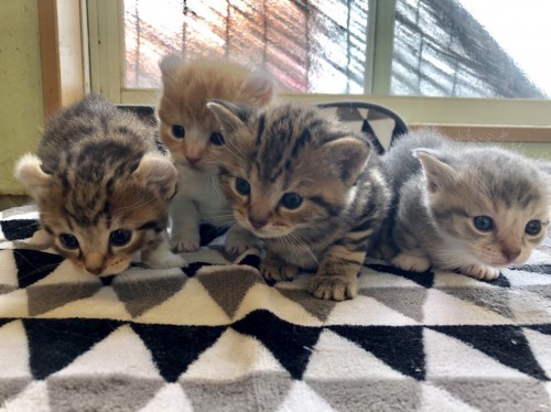 写真 2019-08-30 12 27 38