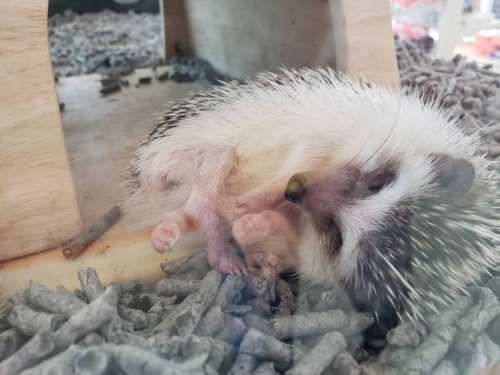 写真 2019-08-01 18 55 46