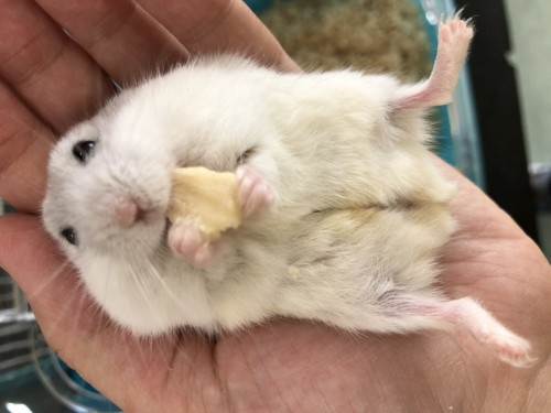 写真 2019-08-22 12 05 20