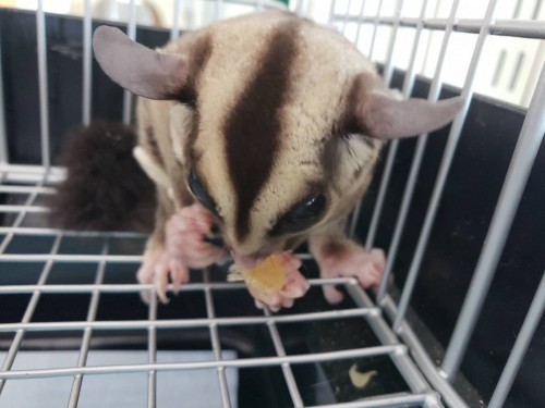 写真 2019-08-16 15 47 43