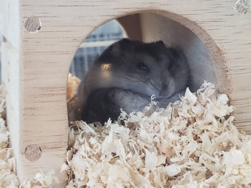 写真 2019-08-16 15 47 47