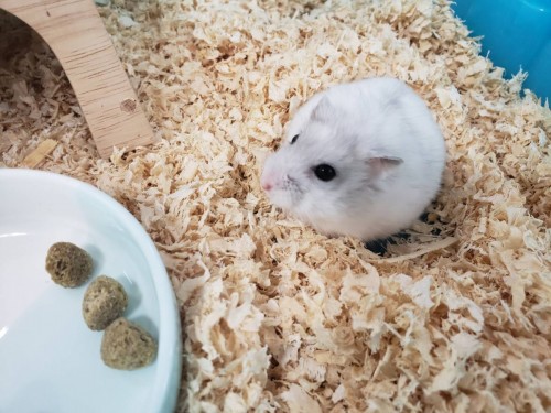 写真 2019-08-16 15 47 36