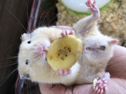 写真 2019-08-22 12 08 24