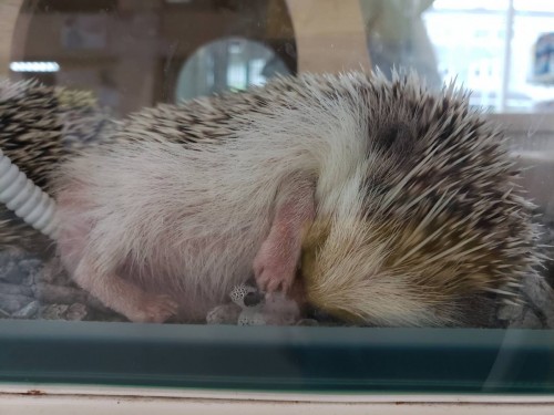 写真 2019-08-01 18 55 53