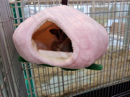 写真 2019-08-25 18 25 40