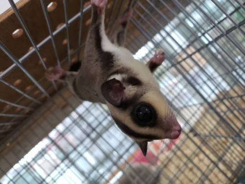 写真 2019-08-18 11 36 07