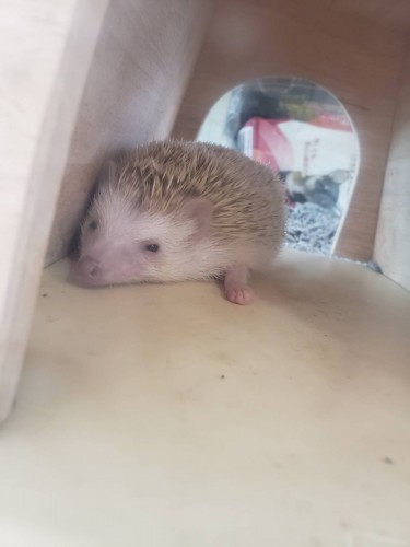 写真 2019-08-16 15 47 50