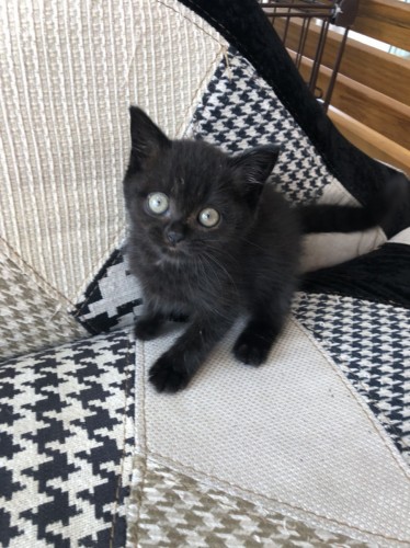 写真 2019-08-07 13 40 17