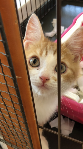 写真 2019-08-13 10 56 41