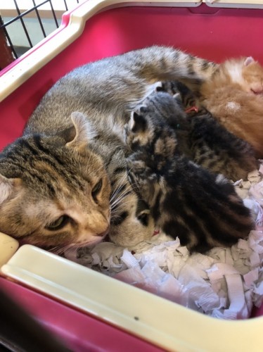 写真 2019-08-19 10 28 57