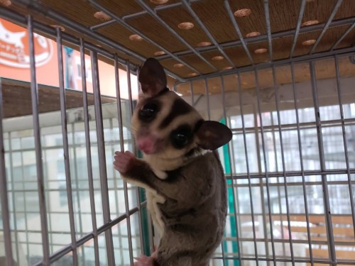 写真 2019-08-18 11 36 12