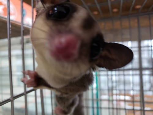 写真 2019-08-18 11 37 41