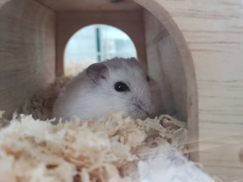 写真 2019-08-16 15 47 40