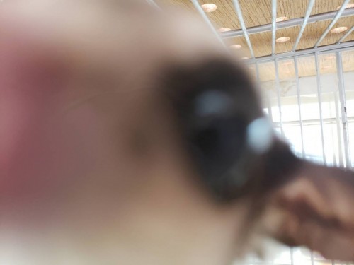 写真 2019-08-18 11 37 44