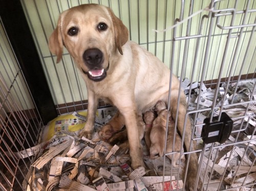 写真 2019-08-24 13 34 10