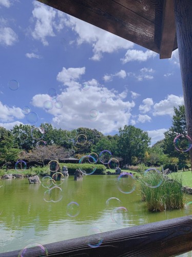 写真 2019-09-18 15 38 13