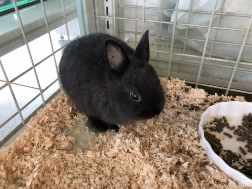 D0D310CE-DAE9-443C-A94E-F72AE4100E1D