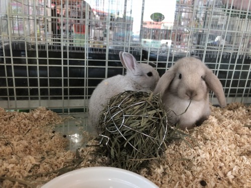 F046A1FA-E0BB-414E-9BC1-7E7C0994D420