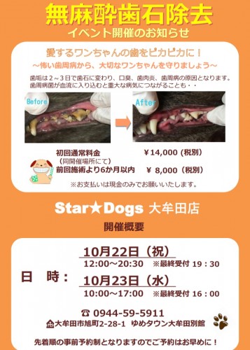 写真 2019-09-01 15 15 36