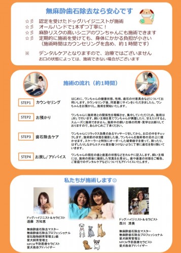 写真 2019-09-01 15 15 44