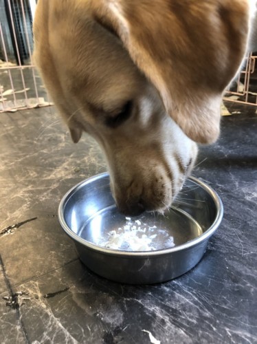 写真 2019-09-05 16 20 48