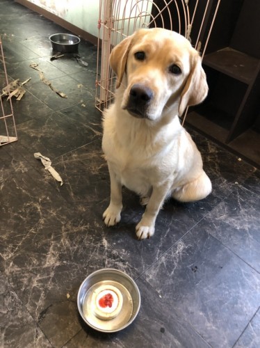 写真 2019-09-05 16 20 41