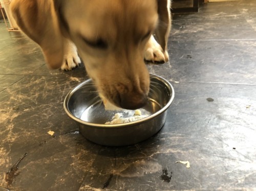 写真 2019-09-05 16 20 45