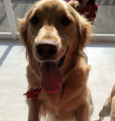 写真 2019-10-13 15 17 13 (1) - コピー