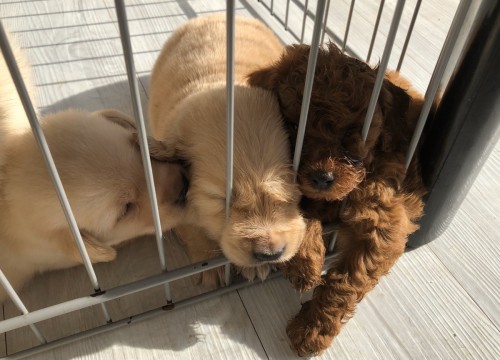 写真 2019-10-14 11 23 26