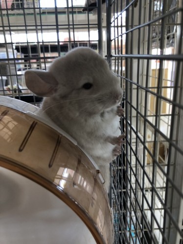 写真 2019-10-29 12 29 43