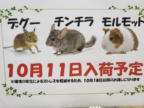 325DAB1E-A631-40EC-AA60-B5E240B5810F