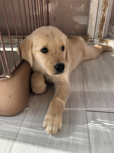 写真 2019-10-13 19 52 14