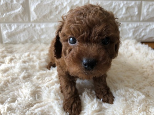 写真 2019-10-25 11 33 20