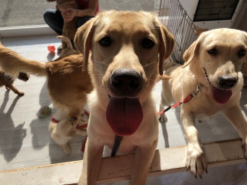 41145E02-24D3-4806-AFEB-68862635A237