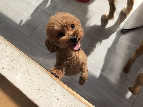 写真 2019-10-13 15 15 44 (1) - コピー