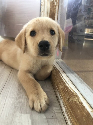 写真 2019-10-13 19 52 11