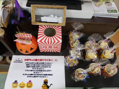 写真 2019-10-17 16 02 31