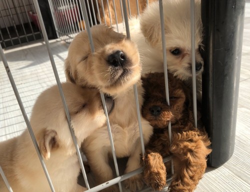 写真 2019-10-14 11 23 29