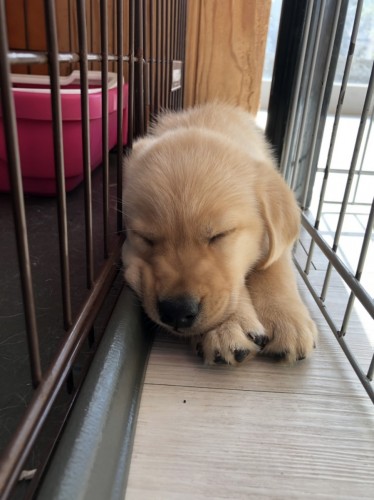 写真 2019-10-13 19 52 25