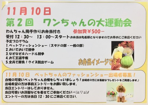 写真 2019-10-13 13 13 21