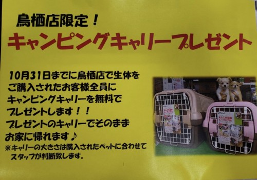 写真 2019-10-20 17 29 30