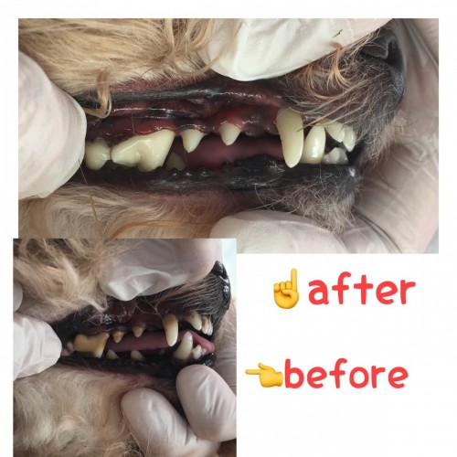 写真 2019-10-09 14 08 23