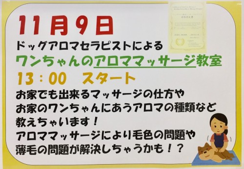 写真 2019-10-13 13 13 32