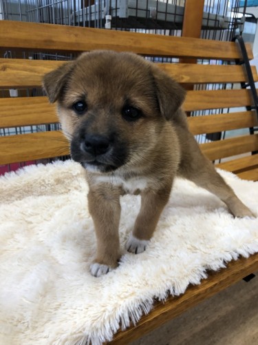 写真 2019-10-03 16 59 38