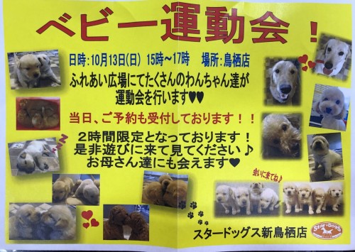 写真 2019-10-02 16 57 08 (1)