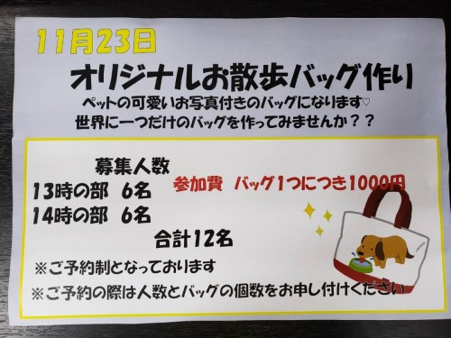 写真 2019-11-04 11 50 32