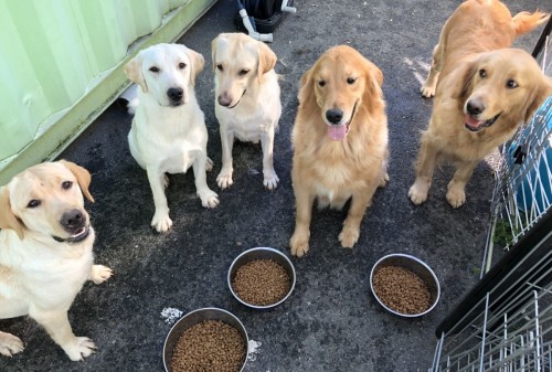 写真 2019-11-16 10 34 31